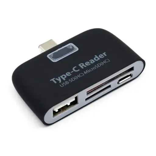 TF + carte SD + Port USB vers USB-C/Type-C adaptateur lecteur de carte - Noir